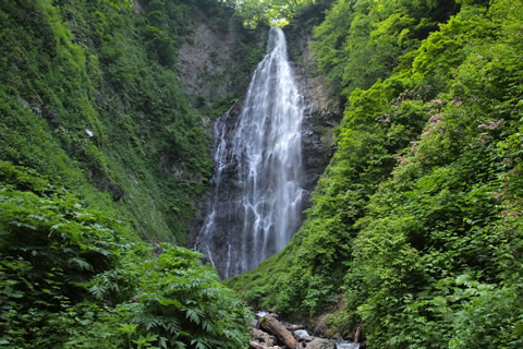 画像：くろくまの滝